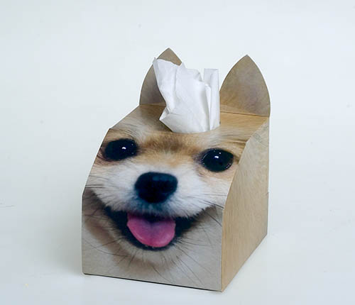 dog tissue box